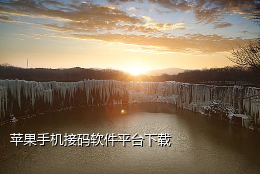 易语言短信接码