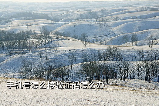 soul为何有是接不到验证码