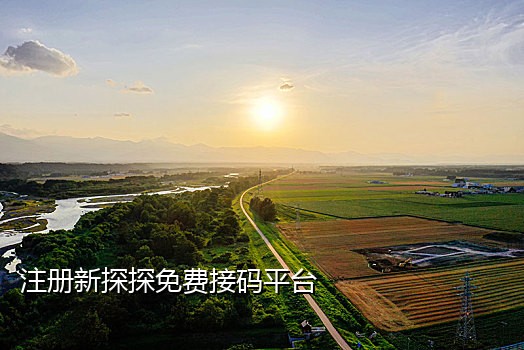 soul接码价格