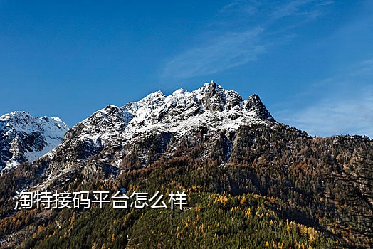 qq接码短信验证码平台有哪些