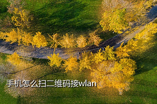 qq接不到短信验证码