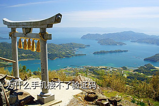 手机接码投票