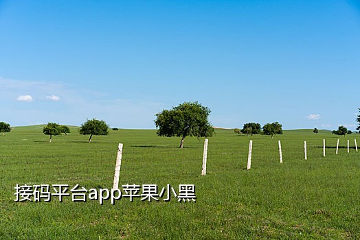 discord接码