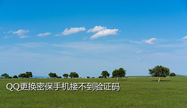 008陌陌接码技术分享