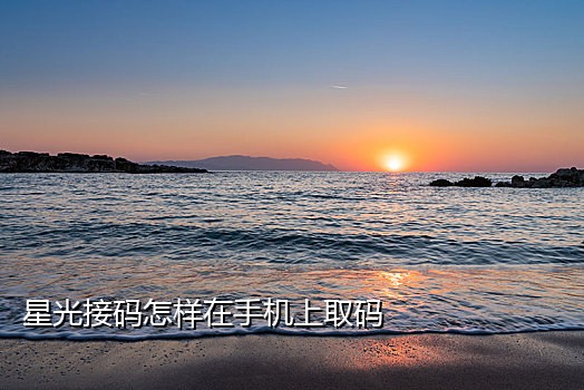 智码手机验证接码管家