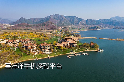 知乎最新能用的接码平台