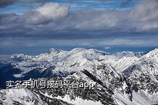 椰子接码短信验证码平台2022