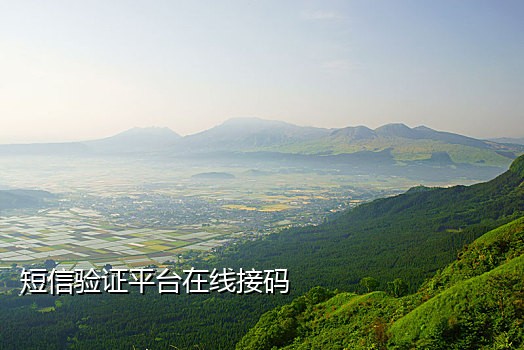 在线接验证码短信平台