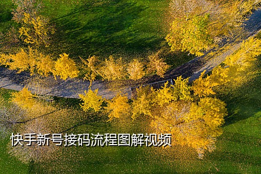 邮箱短信接码平台