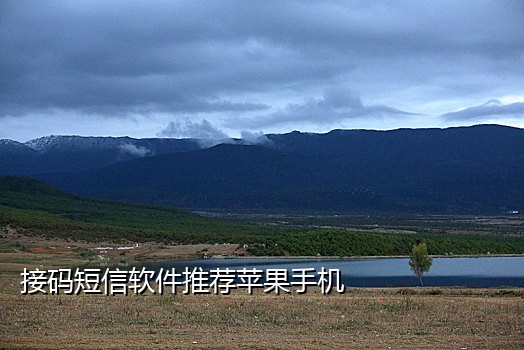 邮储数字人民币接码