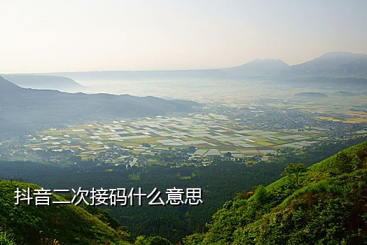 用手机可以接DAC确码器吗