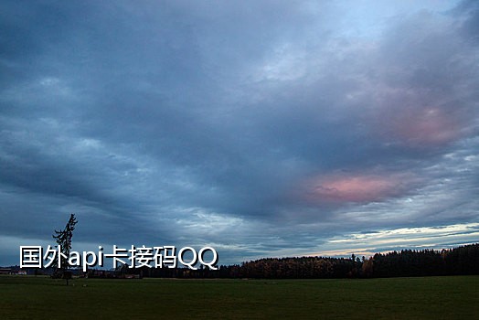 一毛短信接码