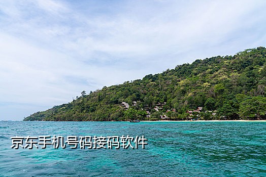 虚拟手机接验证码软件下载