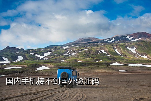 虚拟手机号在线接码