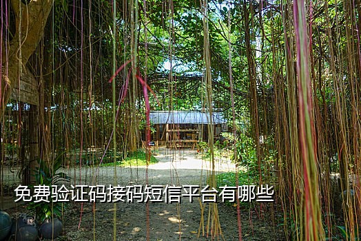 虚拟手机号接码注册