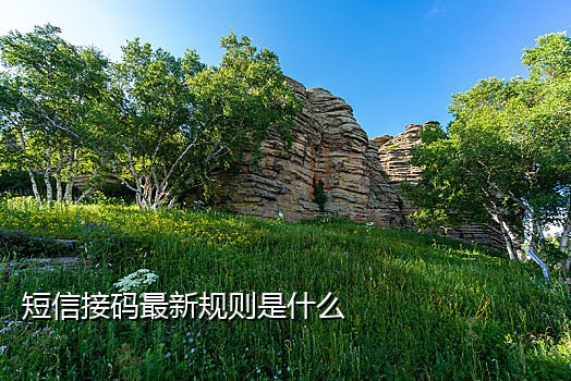 微信设置接码模式怎么弄