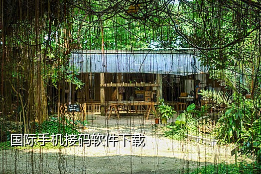 微信扫码付款过程中可以接视频吗