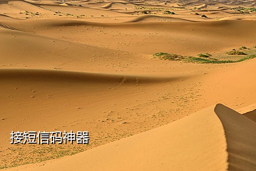 虚拟电话为啥接不到二维码