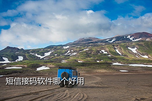 淘宝联盟接码平台
