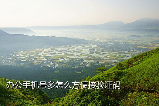 淘宝卡商接码qq群