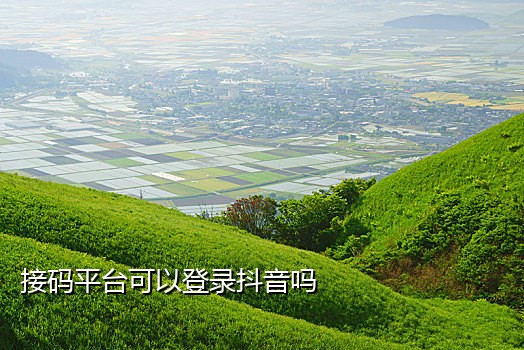 手机正常号段接验证码