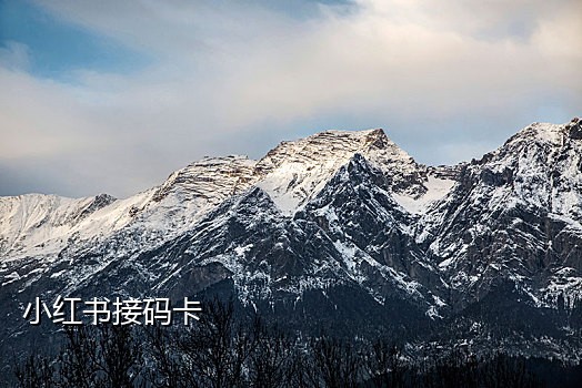 手机如何接码付款