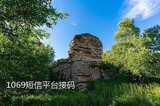 手机如何接码