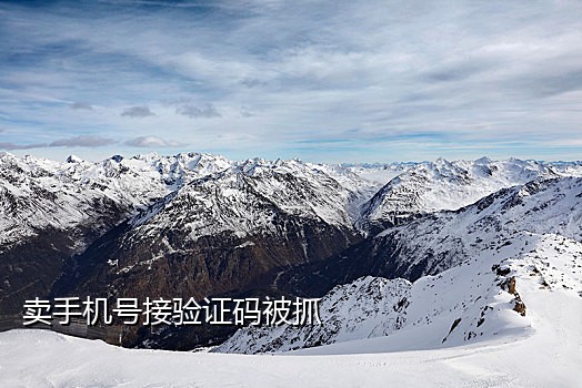 手机接验证码兼职