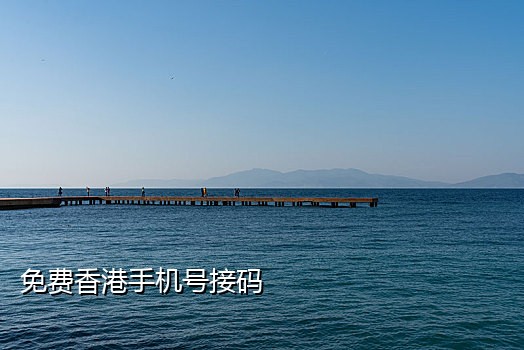手机接码诈骗案例分享视频