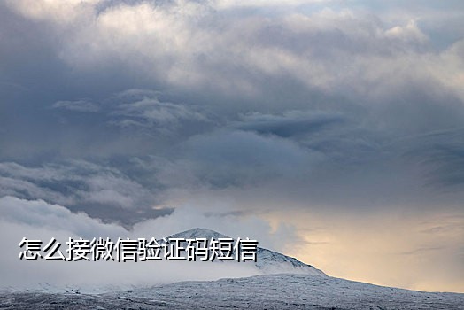 小象短信接码平台下载