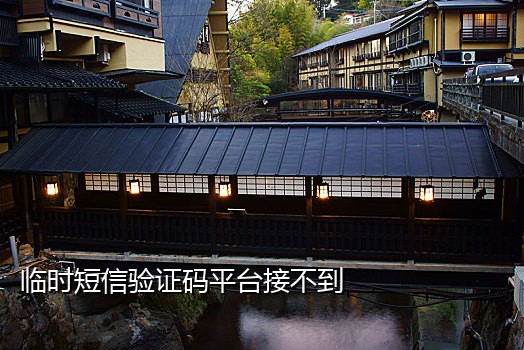 手机接码软件下载苹果
