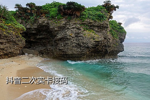 手机接码平台怎么使用