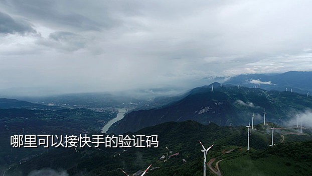 手机接码平台有哪些