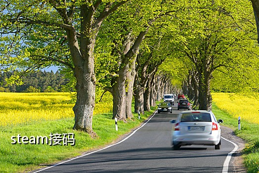 手机接码发码平台