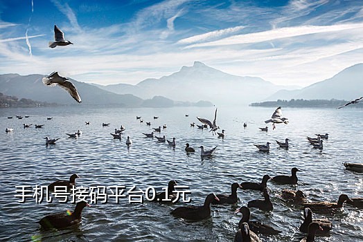 手机接码安卓下载