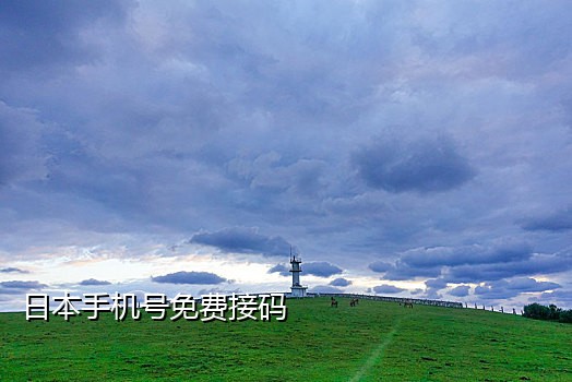 手机接不到验证码怎么处理