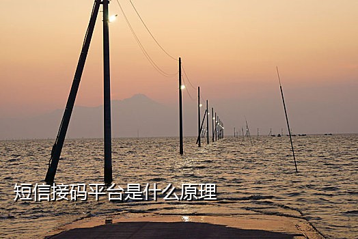 手机接不到验证码是哪里坏了