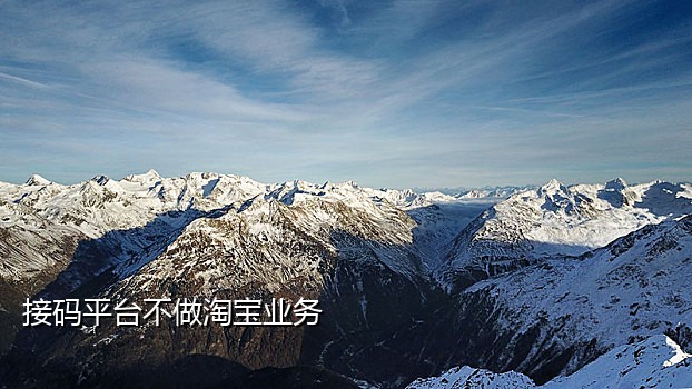 手机号实名的接码平台