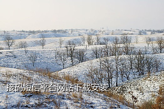 手机号码注册id接不到验证码