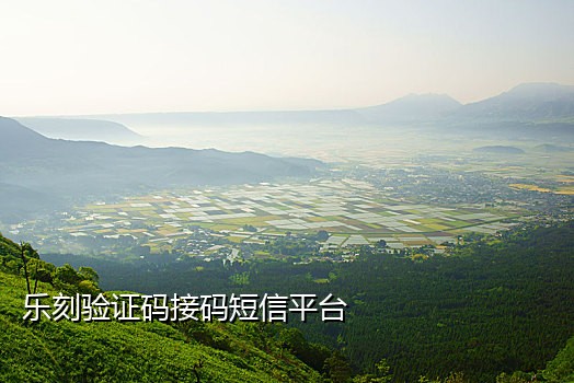 手机号接验证码顶微信
