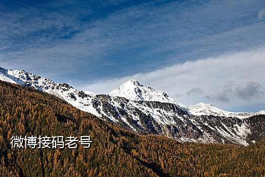 手机号接码助力领优惠