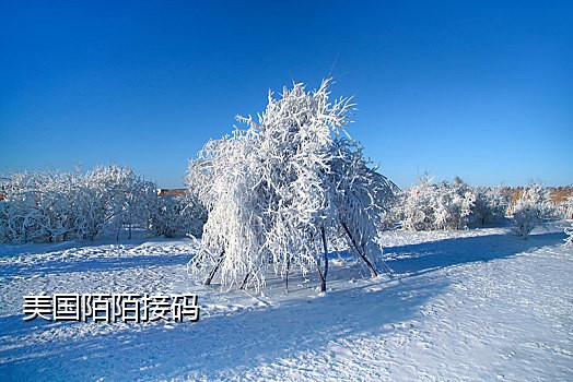 小黄车接不到短信验证码