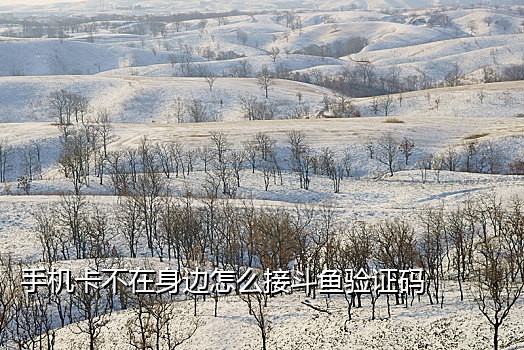 手机号ck怎么手动接码