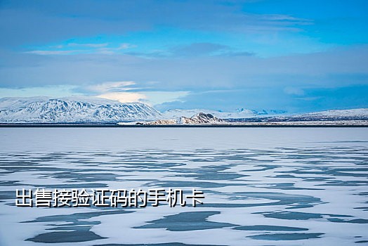 收费的短信接码网站有哪些