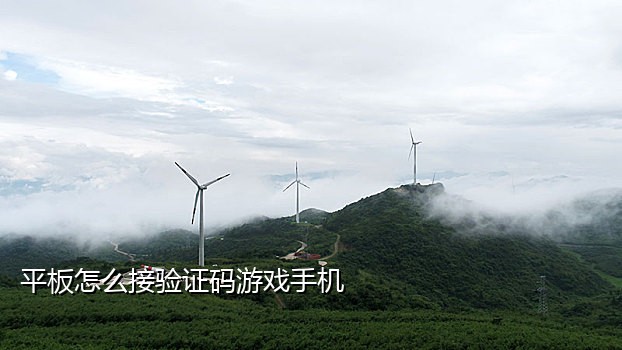 如何用海外短信接码