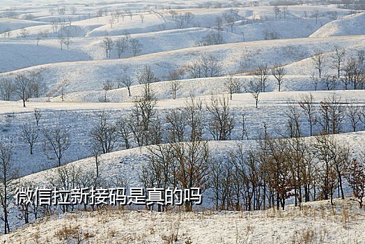 求接码绑微信