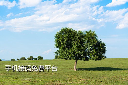 拼多多接码注册