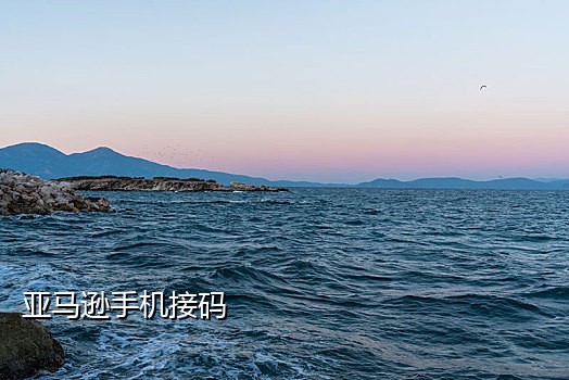 牛码短信接码平台