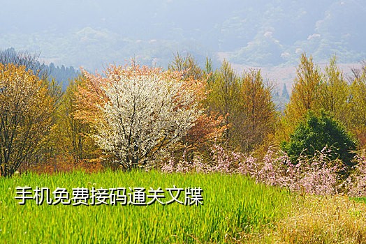 香港手机号码接码平台