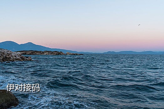 免费接码平台手机版